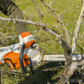 stihl MSA 220 C-B Chainsaw