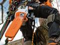 stihl MS 201 TC-M Chainsaw