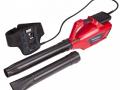 Honda HHB Cordless Blower