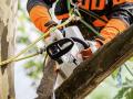 stihl MSA 161 T Chainsaw Cordless