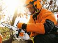 stihl MS 151 TC-E Chainsaw