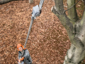 stihl HT 135 Petrol Pole pruner