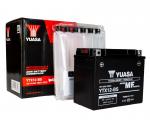 Yuasa Battery YTX12BS-12V