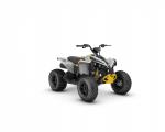 can-am Rengade STD 110 efi