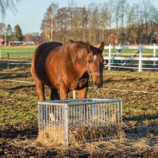 Kellfri Horse feeder box