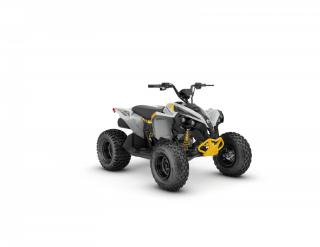 can-am Rengade STD 110 efi